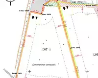 Terrain