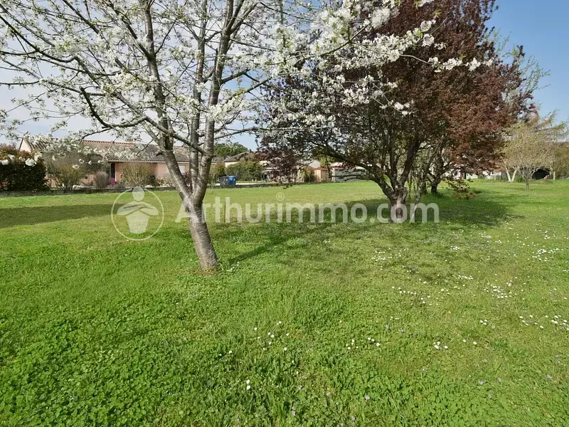 Terrain, 1 000 m²