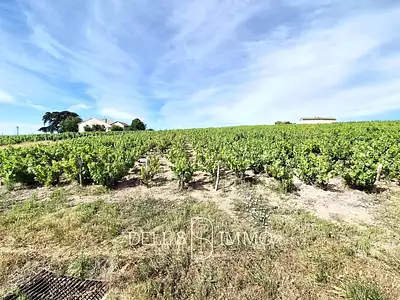 Terrain, 20 081 m²