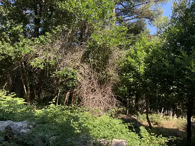Terrain, 495 m²