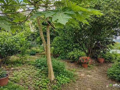 Maison, 196 m²