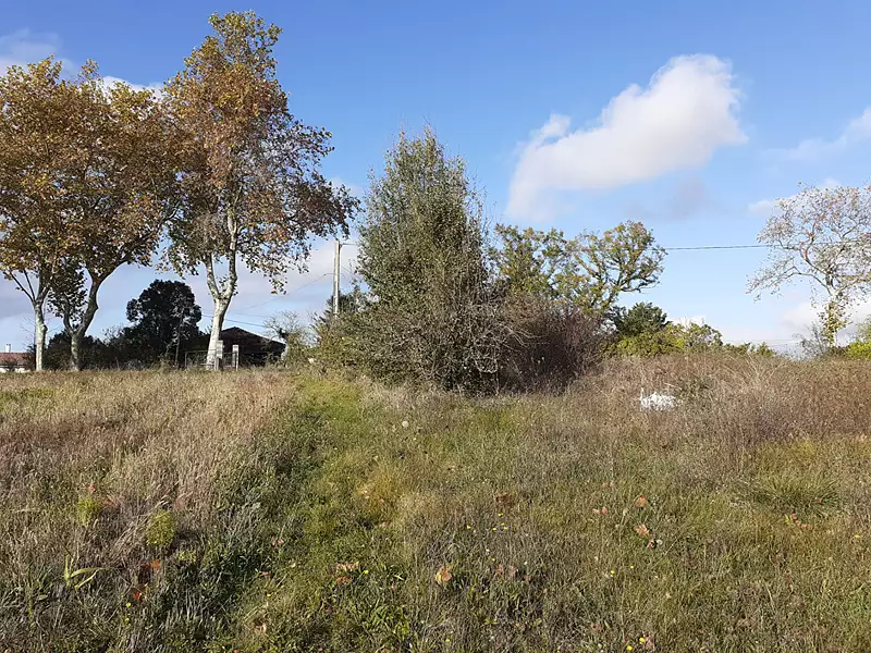 Terrain, 2 339 m²