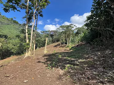 Terrain, 1 600 m²
