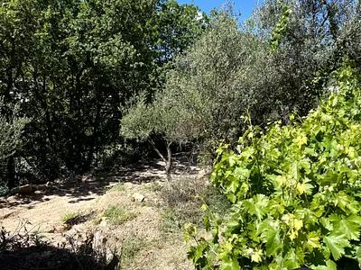 Terrain, 1 410 m²