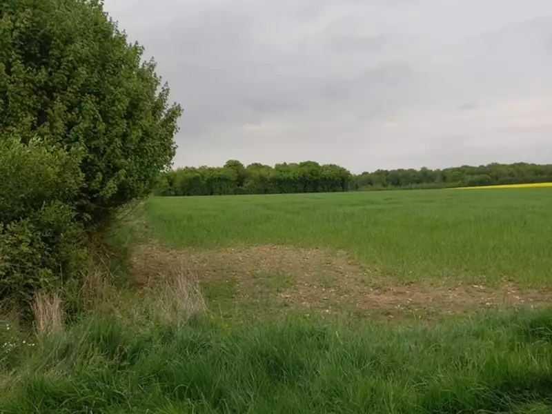 Terrain, 2 924 m²