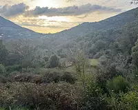 Terrain, 1 200 m²