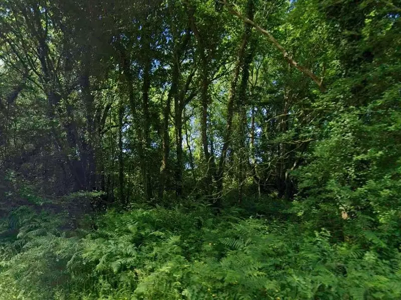 Terrain, 3 887 m²