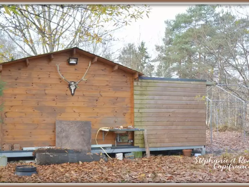 Maison, 220 m²