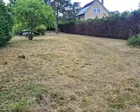 Terrain, 972 m²