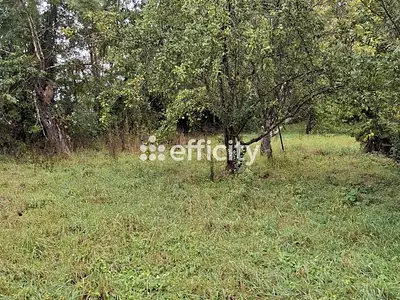 Terrain, 963 m²