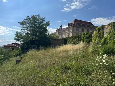 Terrain