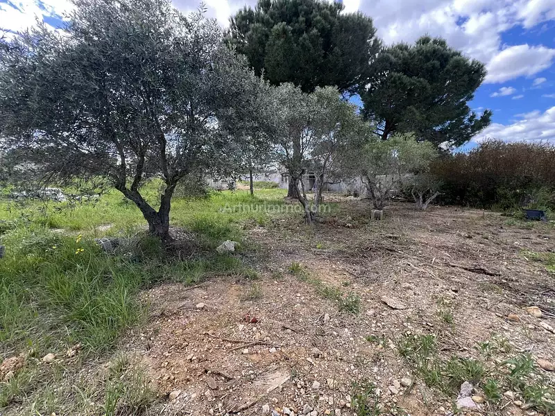 Terrain, 969 m²