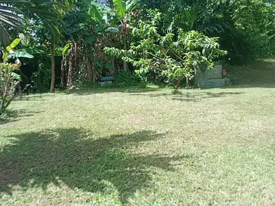 Maison, 70,2 m²