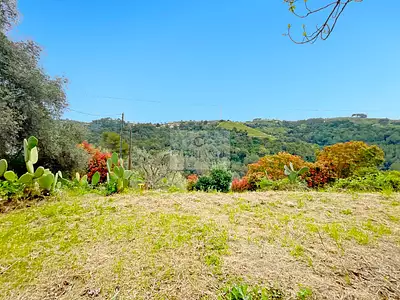 Terrain, 807 m²