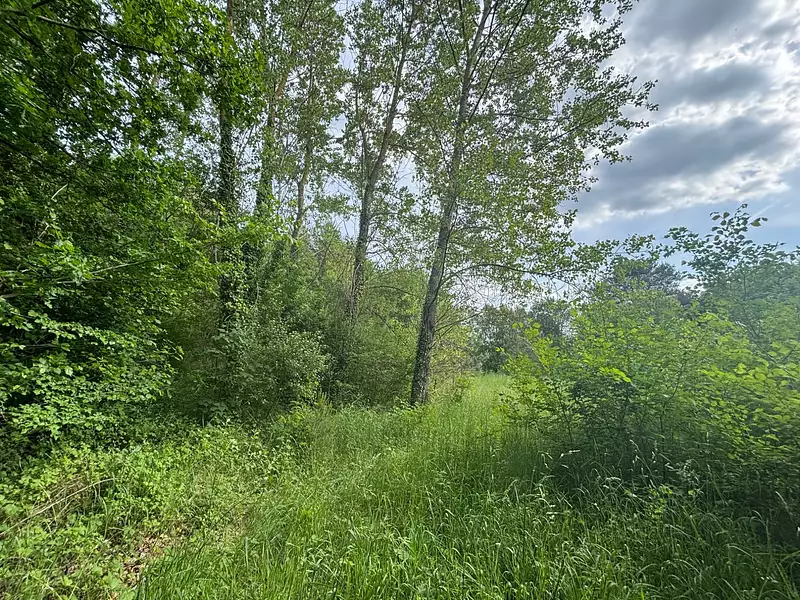 Terrain, 129 172 m²