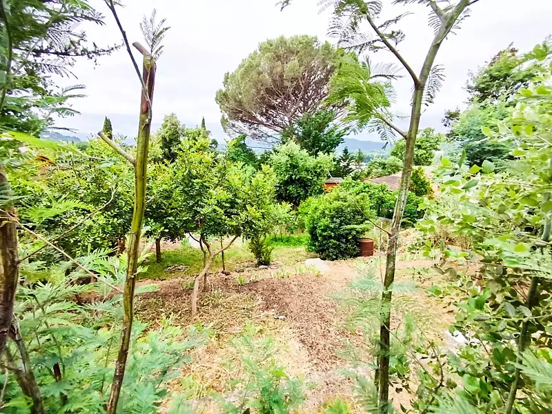 Terrain, 705 m²