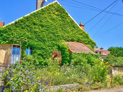 Maison, 50 m²