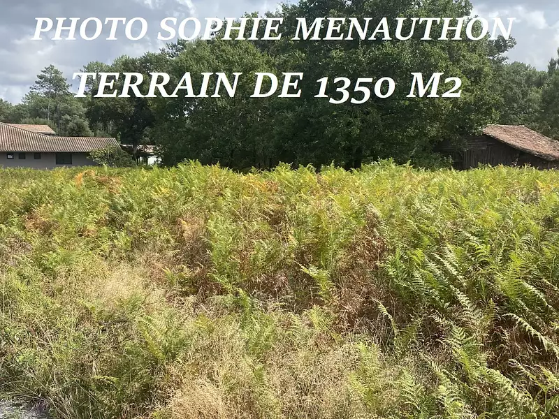 Terrain, 1 350 m²