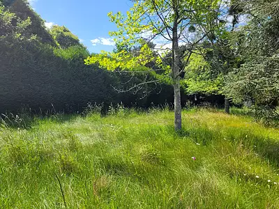 Terrain, 706 m²