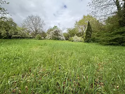 Terrain, 2 771 m²