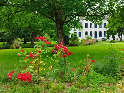 Maison, 354 m²