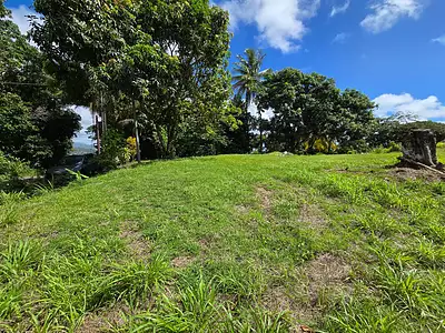 Terrain, 4 525 m²