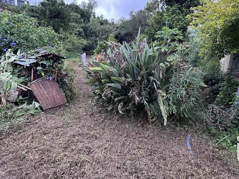 Terrain, 1 705 m²
