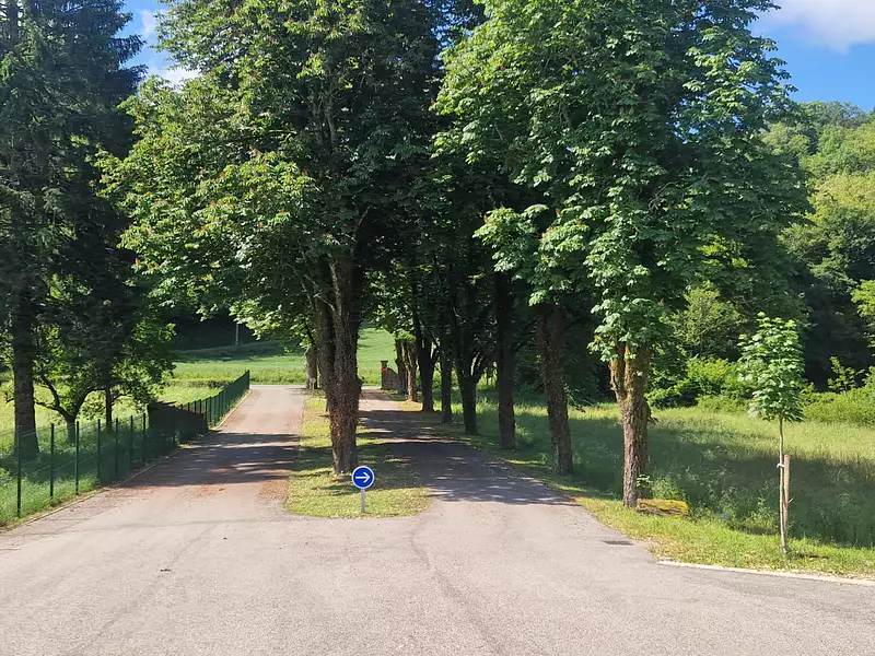 Terrain, 823 m²