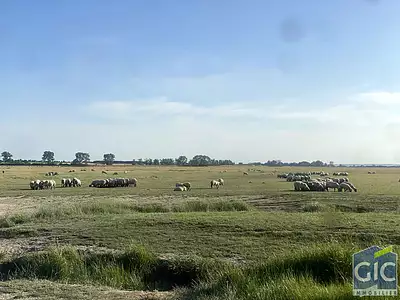 Terrain, 300 m²