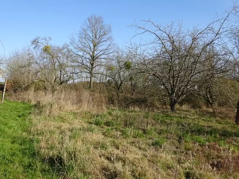 Terrain, 1 341 m²