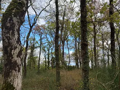 Terrain, 7 300 m²