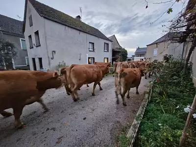 Maison, 247 m²