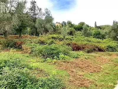 Terrain, 7 627 m²