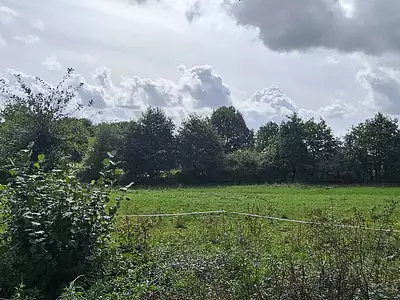 Terrain, 3 161 m²