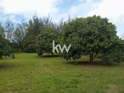 Terrain, 3 000 m²
