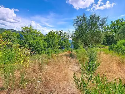 Terrain, 1 539 m²