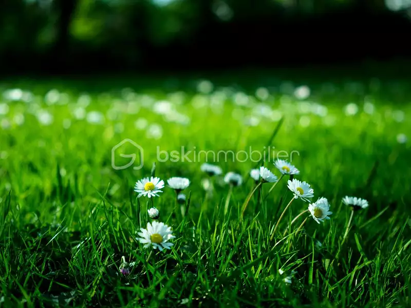 Terrain, 1 109 m²
