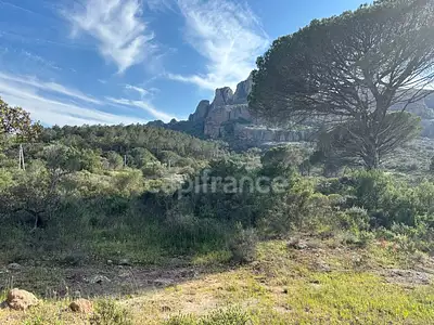 Terrain, 47 984 m²