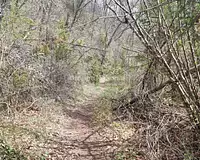 Terrain, 168 453 m²