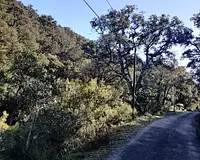 Terrain, 41 560 m²