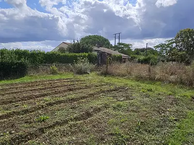 Maison, 350 m²