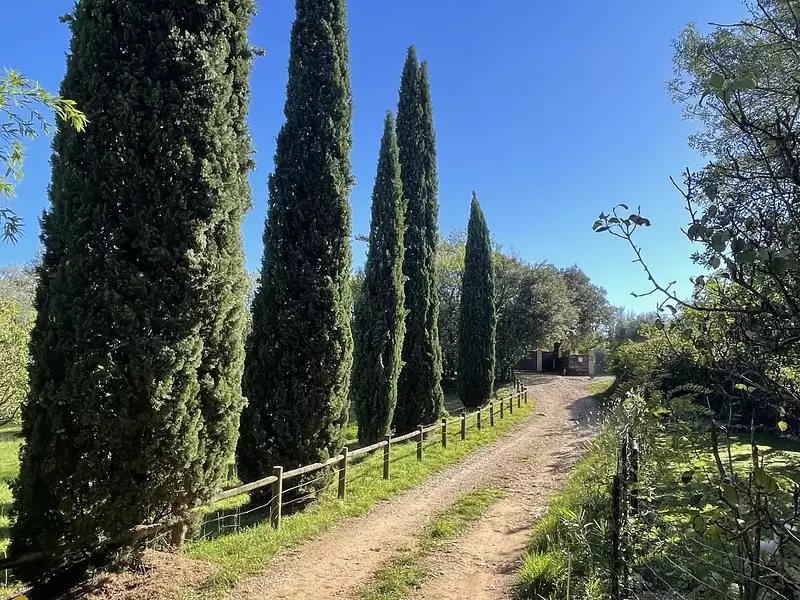 Terrain, 1 012 m²