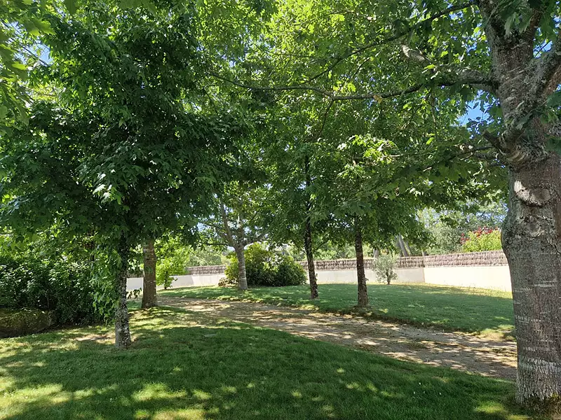 Maison, 251 m²