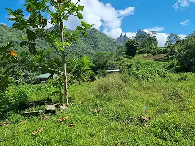 Terrain, 895 m²