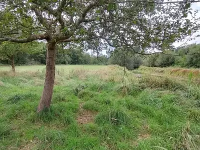 Terrain, 28 600 m²