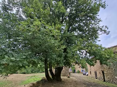 Maison, 225 m²
