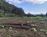 Terrain, 3 000 m²