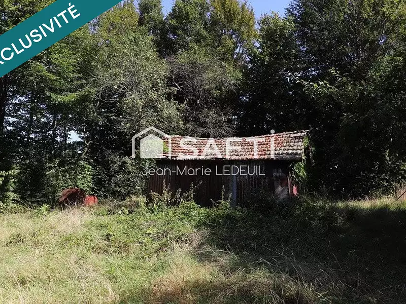 Terrain, 3 010 m²