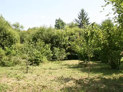 Maison, 239 m²