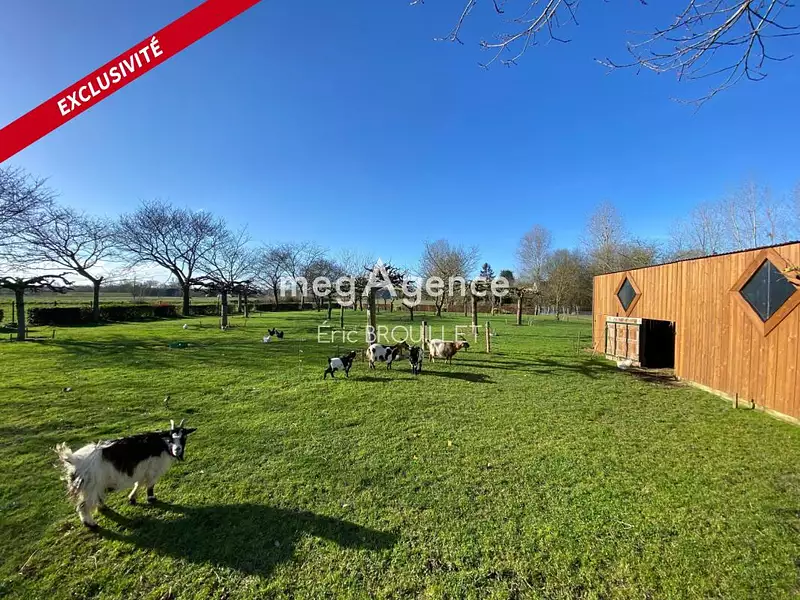 Maison, 205 m²